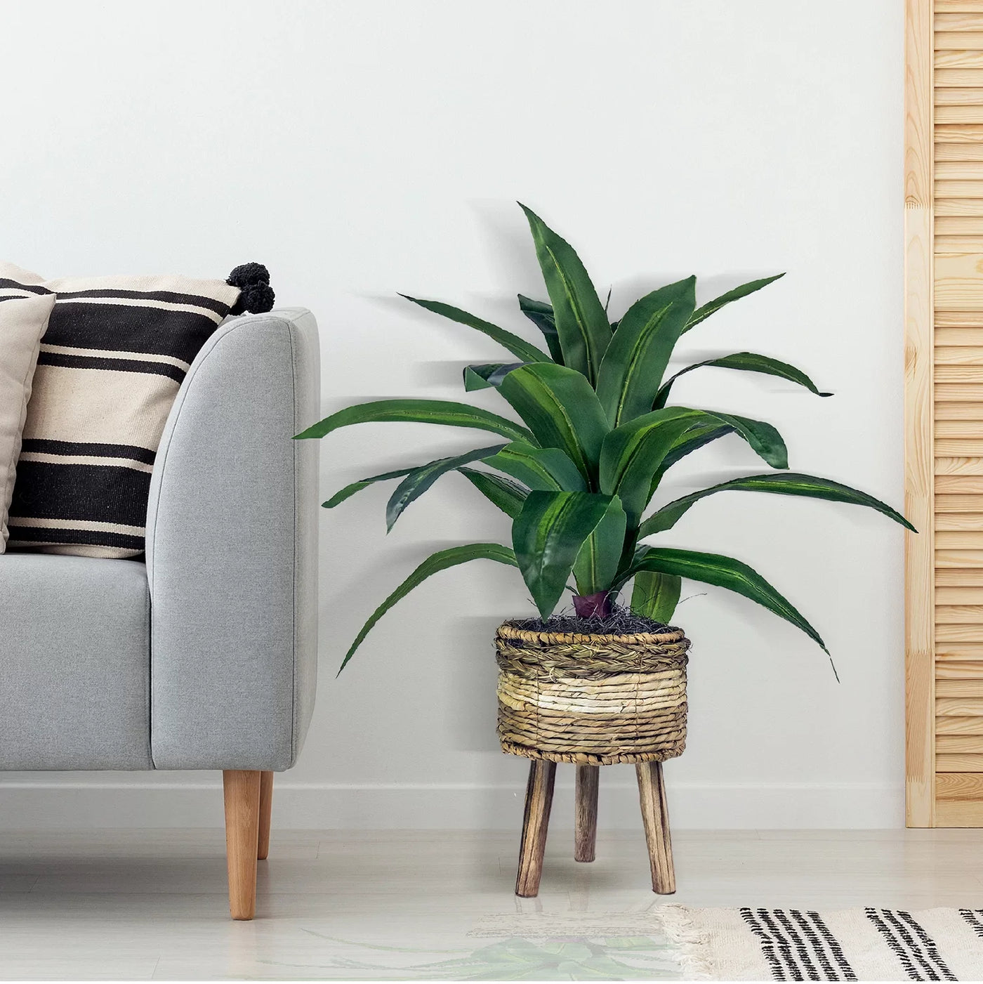 Bridport Faux Dracaena Plant in Rattan Basket